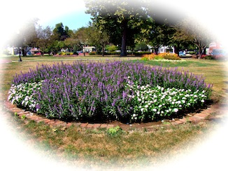 Central Park Pella Flowers